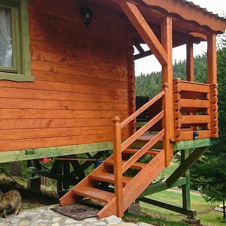 Cabana Casa Craita Zărneşti Exteriér fotografie