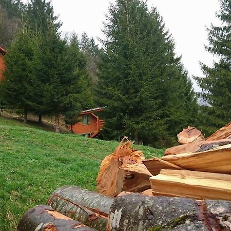 Cabana Casa Craita Zărneşti Exteriér fotografie