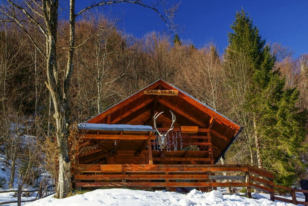 Cabana Casa Craita Zărneşti Pokoj fotografie