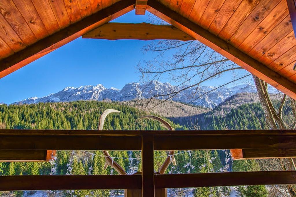 Cabana Casa Craita Zărneşti Pokoj fotografie