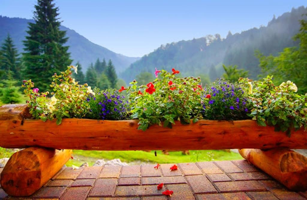 Cabana Casa Craita Zărneşti Pokoj fotografie
