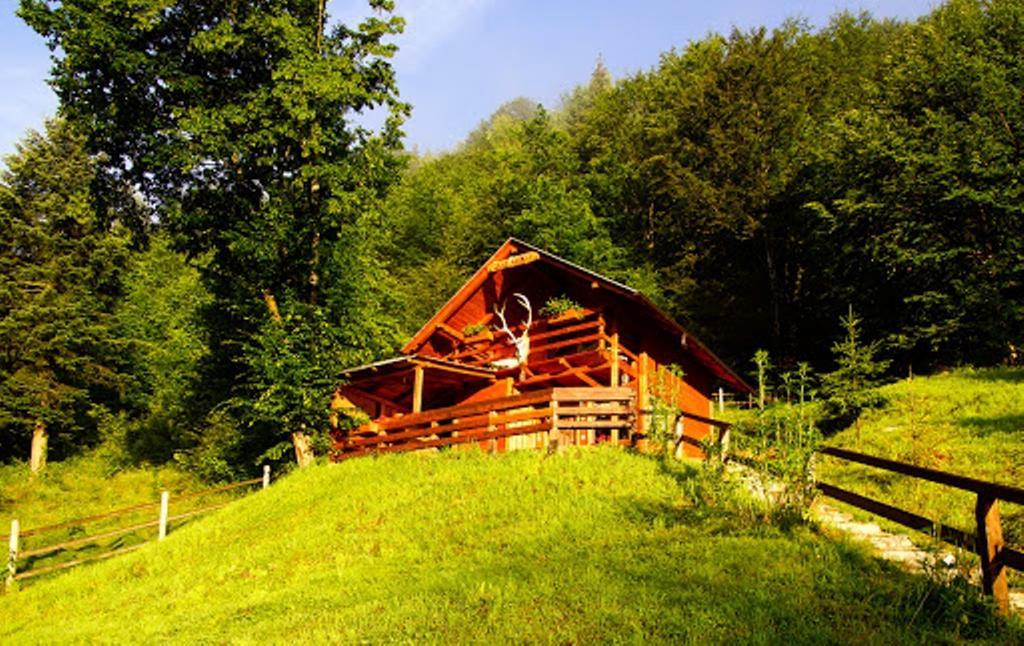 Cabana Casa Craita Zărneşti Pokoj fotografie