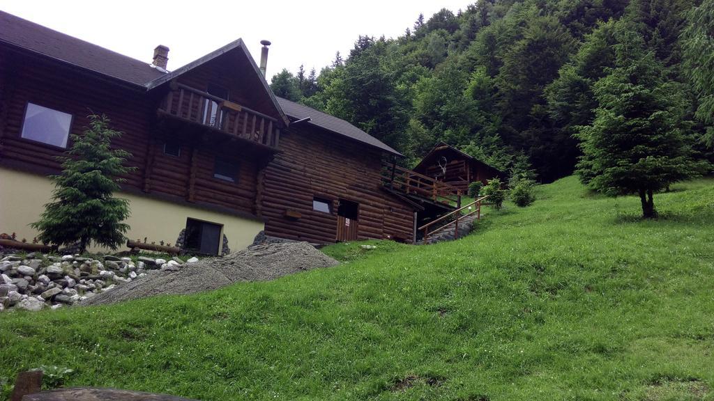 Cabana Casa Craita Zărneşti Exteriér fotografie