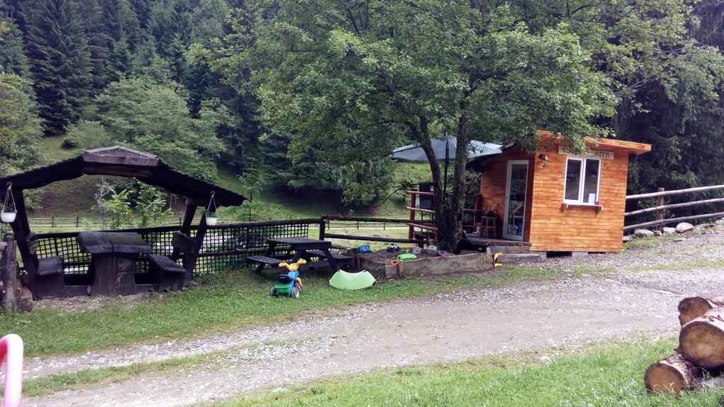 Cabana Casa Craita Zărneşti Exteriér fotografie