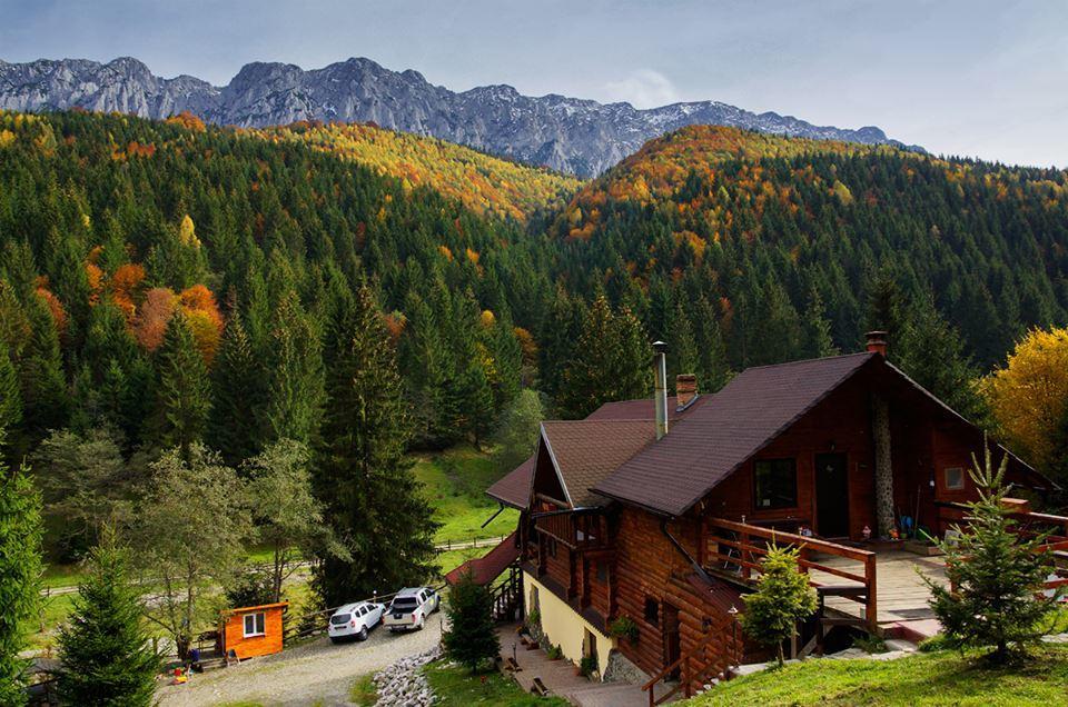 Cabana Casa Craita Zărneşti Exteriér fotografie