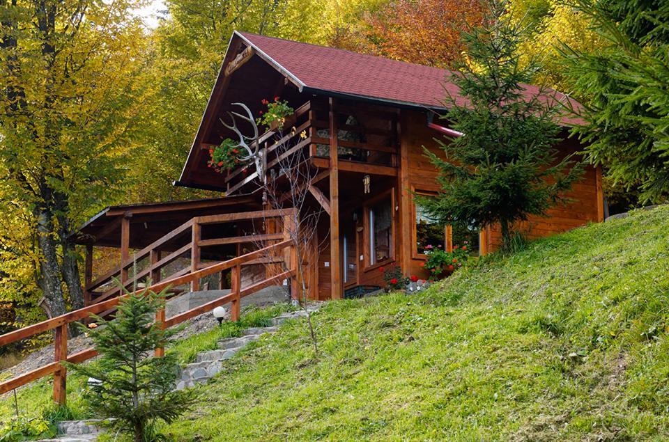 Cabana Casa Craita Zărneşti Exteriér fotografie