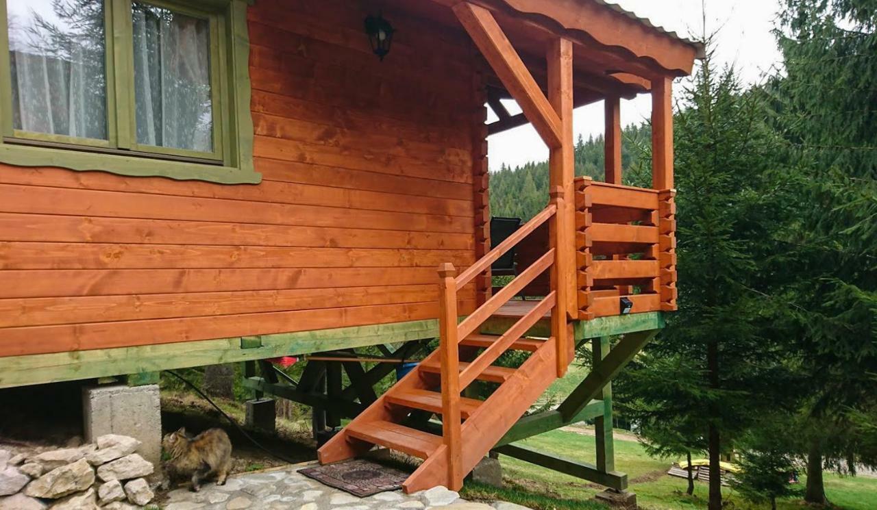 Cabana Casa Craita Zărneşti Exteriér fotografie