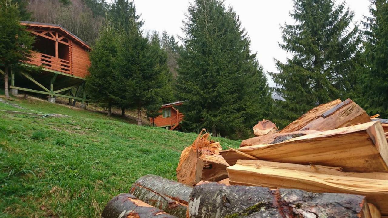 Cabana Casa Craita Zărneşti Exteriér fotografie